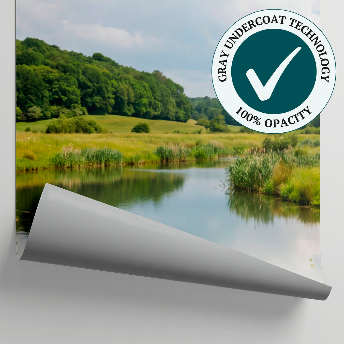 Birch Reflection Green Landscape Wallpaper - Forest Scenery Woodland Peel and Stick Wall Mural - Matière