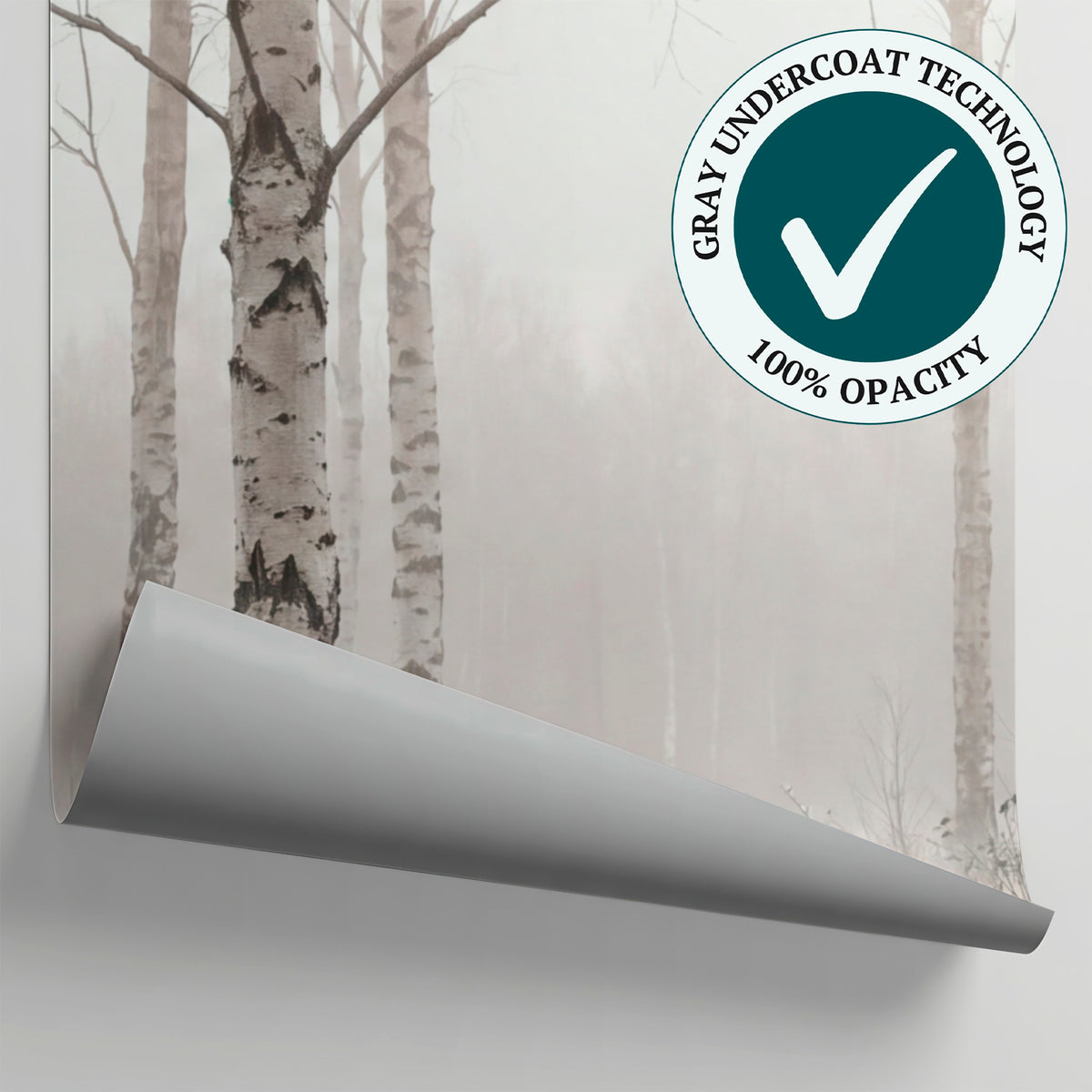 Misted Birches - Gray Forest Wallpaper - Scandinavian Woodland Wallpaper Wall Mural - Matière