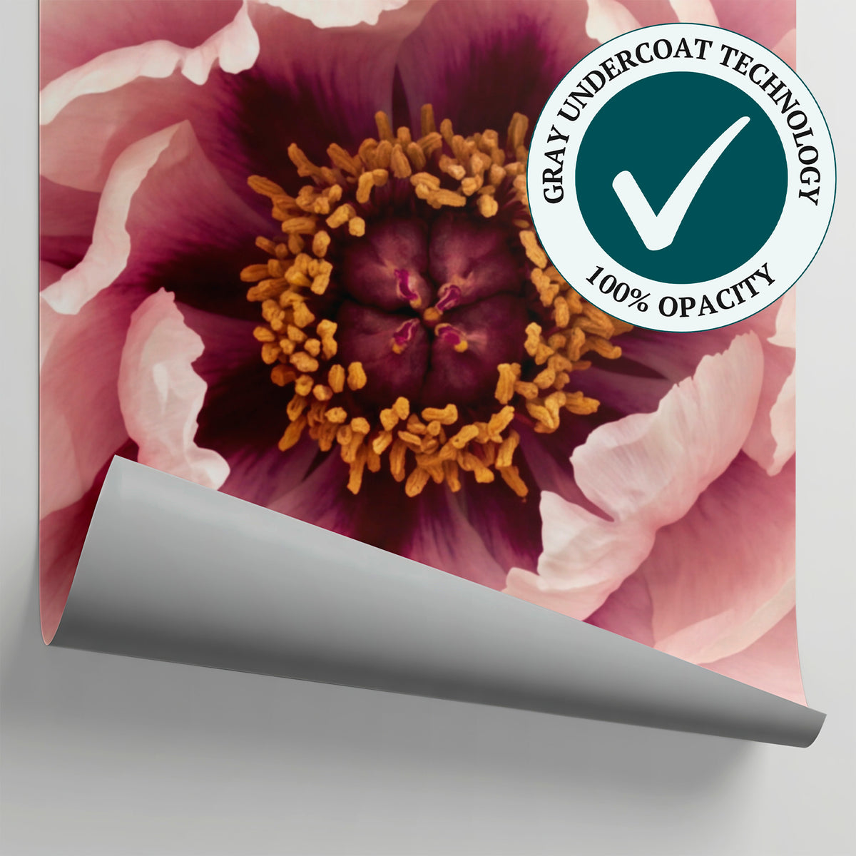 Opaline Peony Pink Flower Wallpaper - Light Pink Floral Wall Mural Aesthetic - Matière