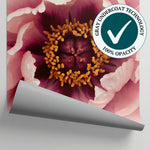 Opaline Peony Pink Flower Wallpaper - Light Pink Floral Wall Mural Aesthetic - Matière
