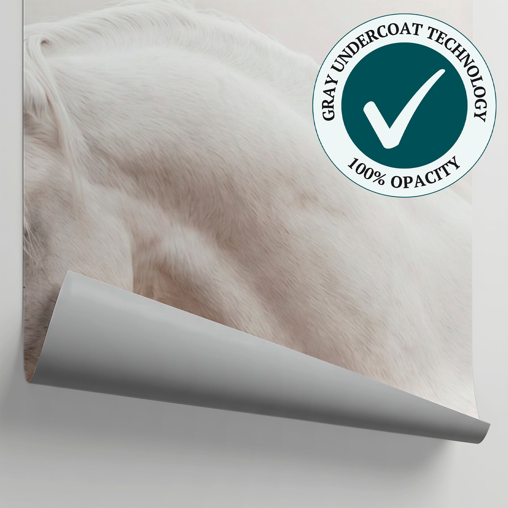 Porcelain Mare White Horse Wallpaper - Minimalist Animal Wall Mural Peel and Stick - Matière