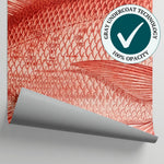 Snapper Engraving Fish Wallpaper - Red Animal Wallpaper Peel and Stick - Matière