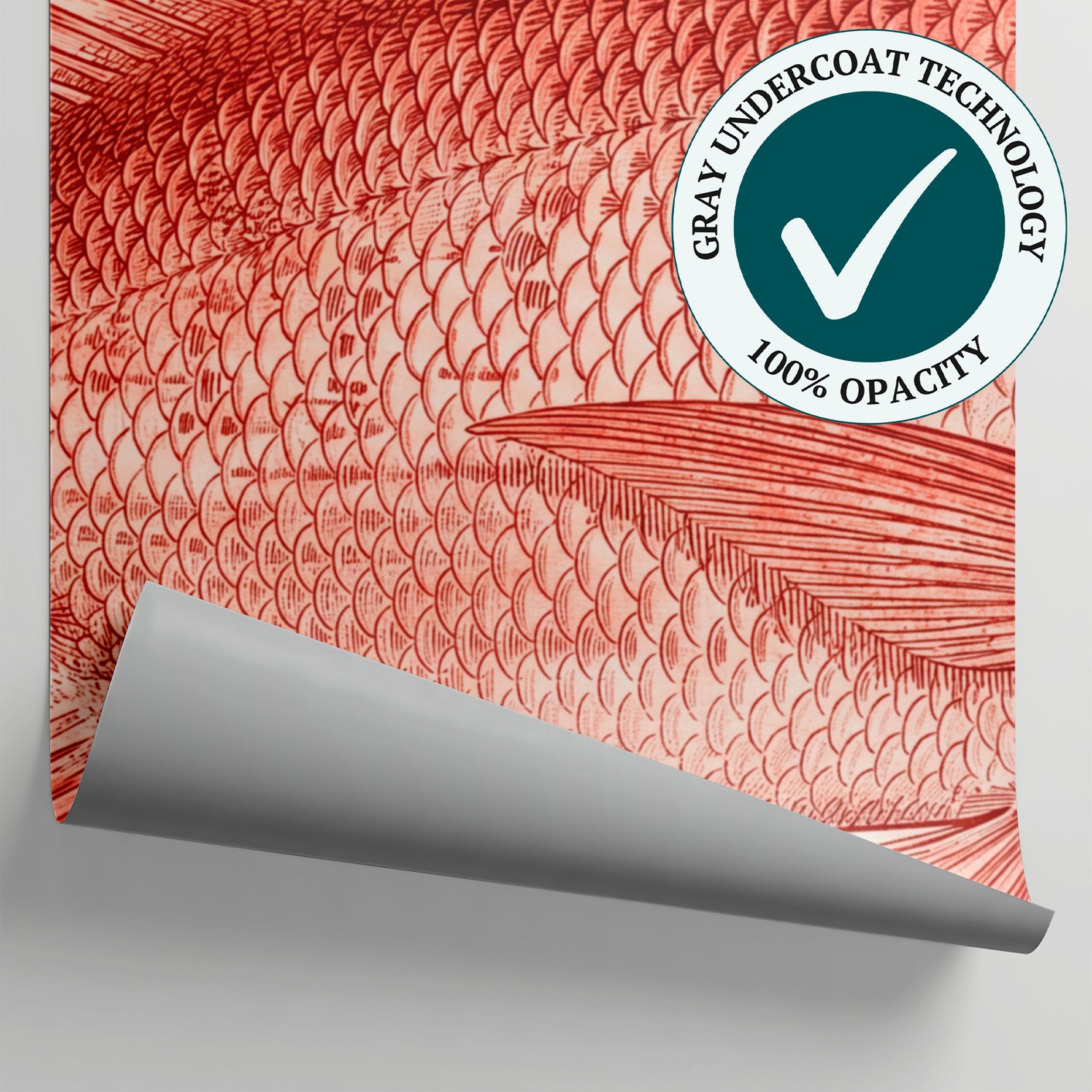 Snapper Engraving Fish Wallpaper - Red Animal Wallpaper Peel and Stick - Matière