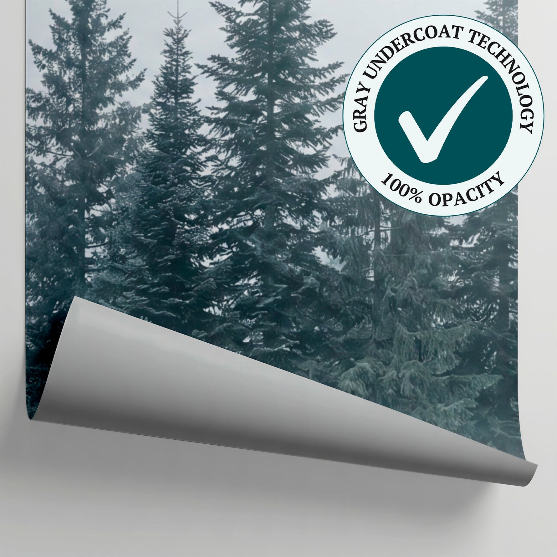 Spruce Hollow Gray Forest Wallpaper - Woodland Scenery Landscape Peel and Stick Wall Mural - Matière