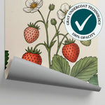 Strawberry Briar Green Floral Wallpaper - Greenery Pink Flower Country Rose Peel and Stick Mural - Matière