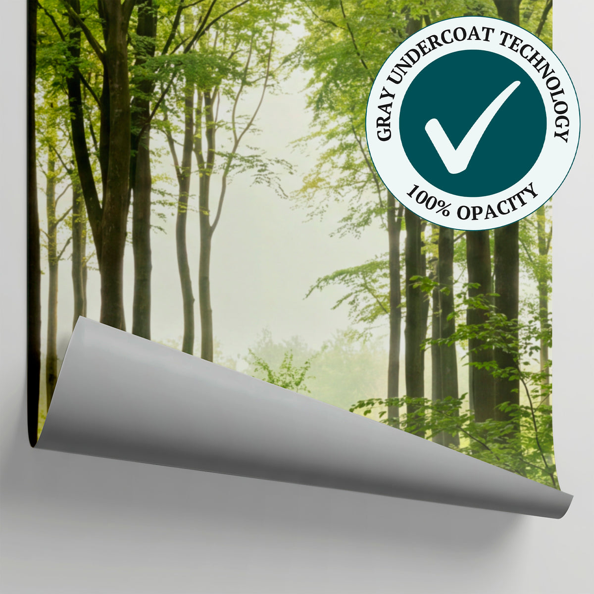 Sunlit Beechwood Green Forest Wallpaper - Woodland Greenery Scenery Landscape Peel and Stick Wall Mural - Matière