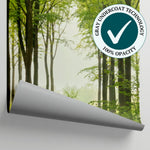 Sunlit Beechwood Green Forest Wallpaper - Woodland Greenery Scenery Landscape Peel and Stick Wall Mural - Matière