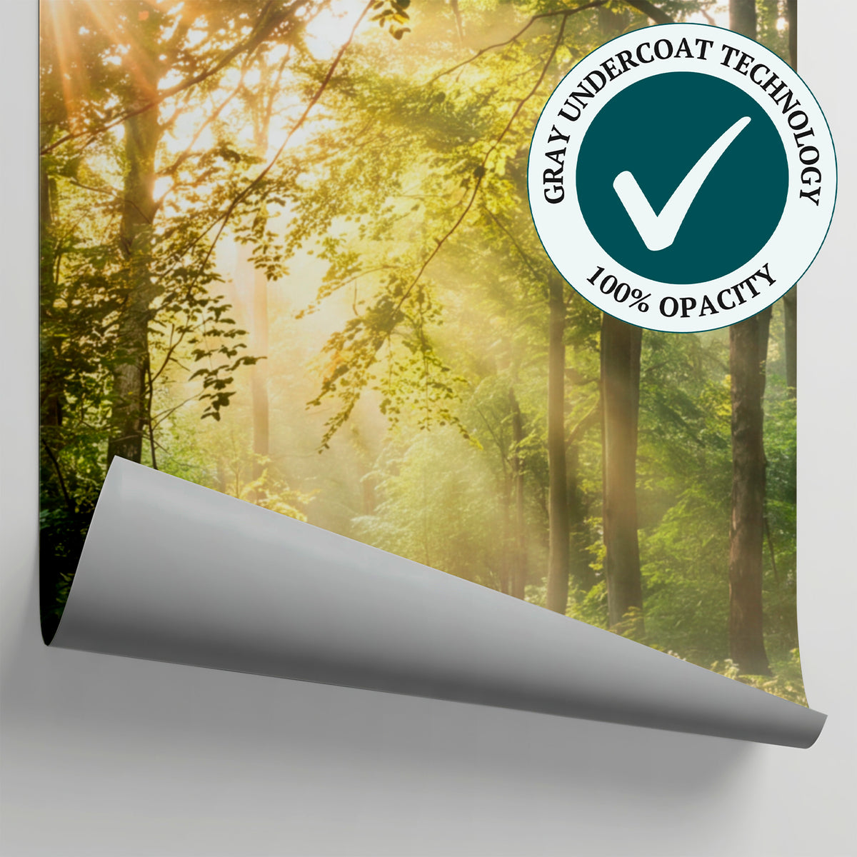 Sunray Thicket Green Forest Wallpaper - Woodland Greenery Scenery Landscape Peel and Stick Wall Mural - Matière