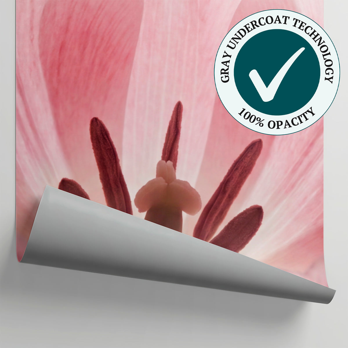 Tulip Breath Pink Flower Wallpaper - Light Pink Floral Wallpaper Peel and Stick Minimalist Mural - Matière