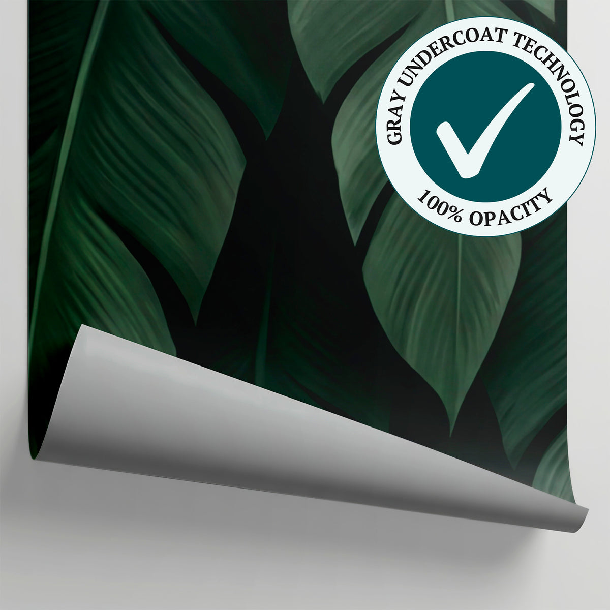 Velvet Monsoon Green Jungle Wallpaper - Dark Green Tropical Botanical Leaf Peel and Stick Mural - Matière