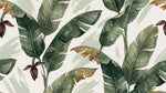 Banana Sway Green Tropical Wallpaper - Jungle Botanical Leaf Greenery Peel and Stick Mural - Design