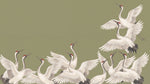 Crane Flight Green Japanese Wallpaper - Olive Chinoiserie Animal Wall Mural Peel and Stick - Design