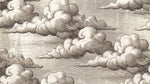 Engraved Stratus - Beige Cloud Wallpaper Vintage Sky Peel and Stick - Blue Sky Wall Mural - Design