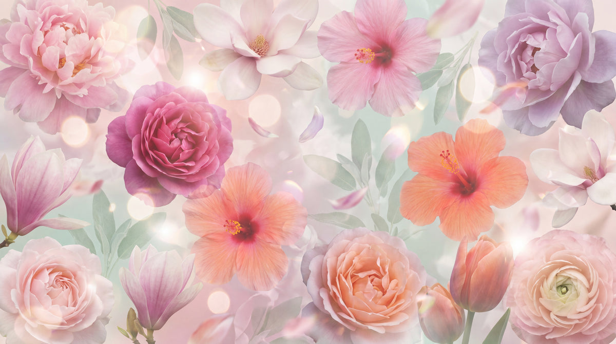 Gossamer Orchard Pink Flower Wallpaper - Pink Floral Magnolia Rose Peel and Stick Wall Mural - Design