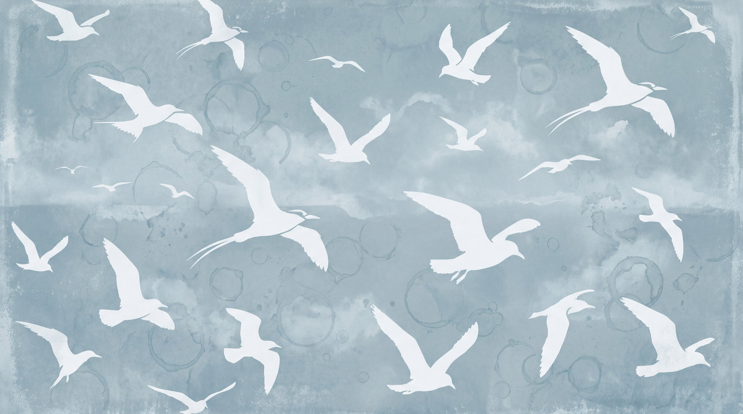 Gull Flight - Blue Animal Wallpaper - Blue Sky Wallpaper Peel and Stick Wall Mural - Design