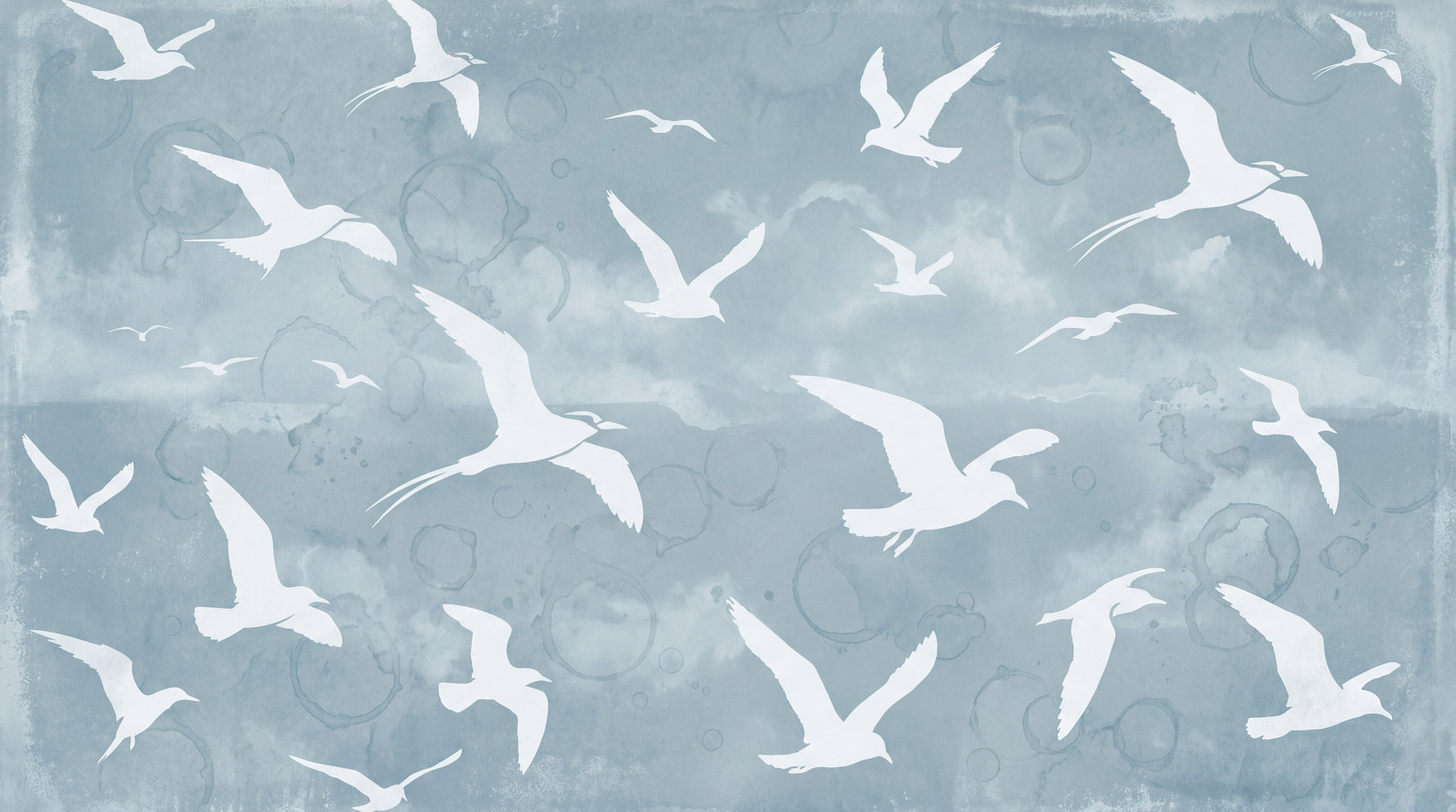 Gull Flight - Blue Animal Wallpaper - Blue Sky Wallpaper Peel and Stick Wall Mural - Design