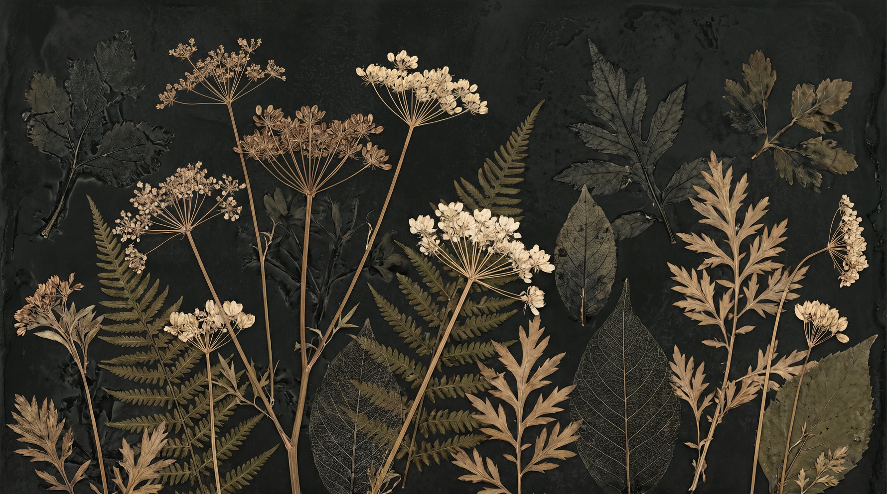 Herbarium Slate Dark Floral Wallpaper - Black Vintage Flower Wall Mural Peel and Stick - Design