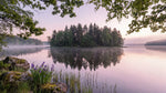 Iris Dawn Reflection - Pastel Landscape Wallpaper - Pastel Scenery Forest Woodland Wall Mural Peel and Stick - Design