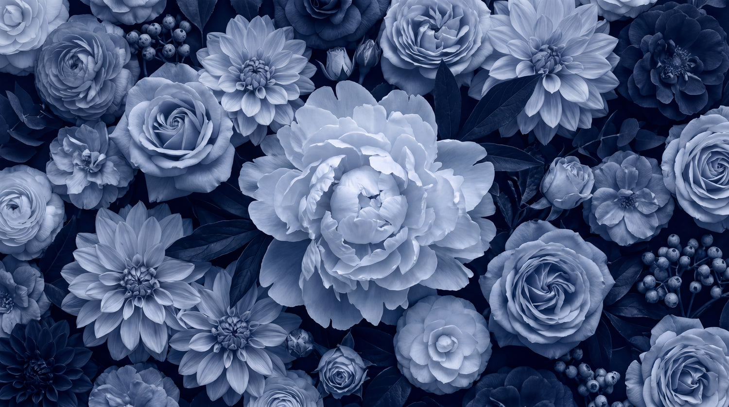 Midnight Bloomscape Blue Floral Wallpaper - Navy Blue Rose Vintage Peel and Stick Wall Mural - Design