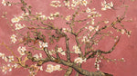 Painted Blossoms - Pink Cherry Blossom Wallpaper - Vintage Floral Botanical Peel and Stick Wall Mural - Design