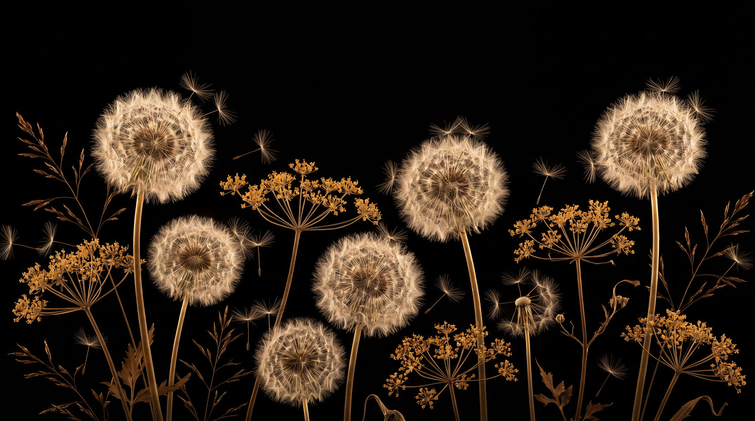 Pollen Drift Dark Floral Wallpaper - Black Flower Wallpaper Peel and Stick Wall Mural Aesthetic - Design