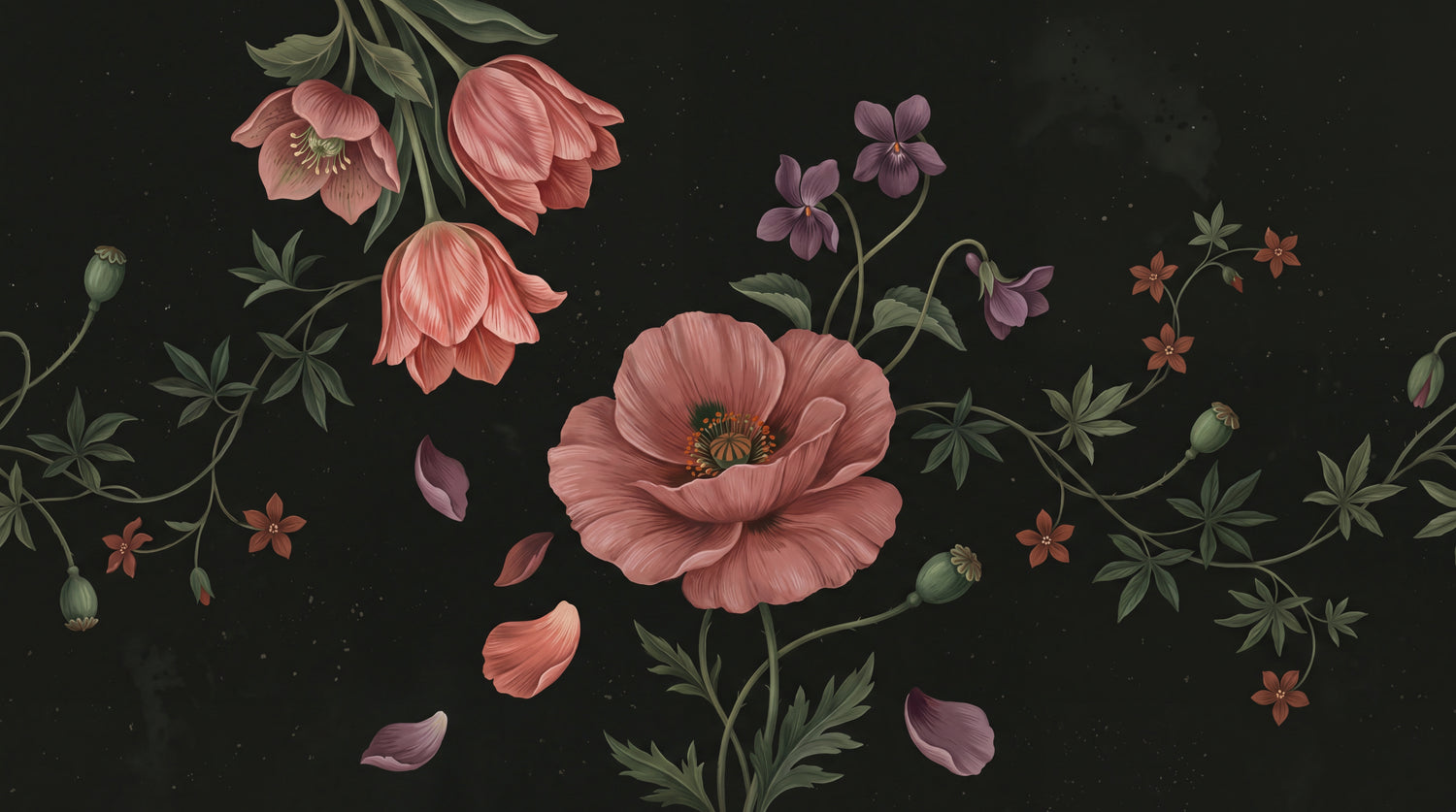 Poppy Reverie Dark Floral Wallpaper - Black Pink Flower Vintage Peel and Stick Wall Mural - Design