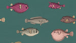 Pufferfish Parade Green Fish Wallpaper - Teal Animal Wallpaper Peel and Stick - Design