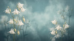 Quiet Columbine Blue Floral Wallpaper - Teal Flower Wall Mural Peel and Stick - Design