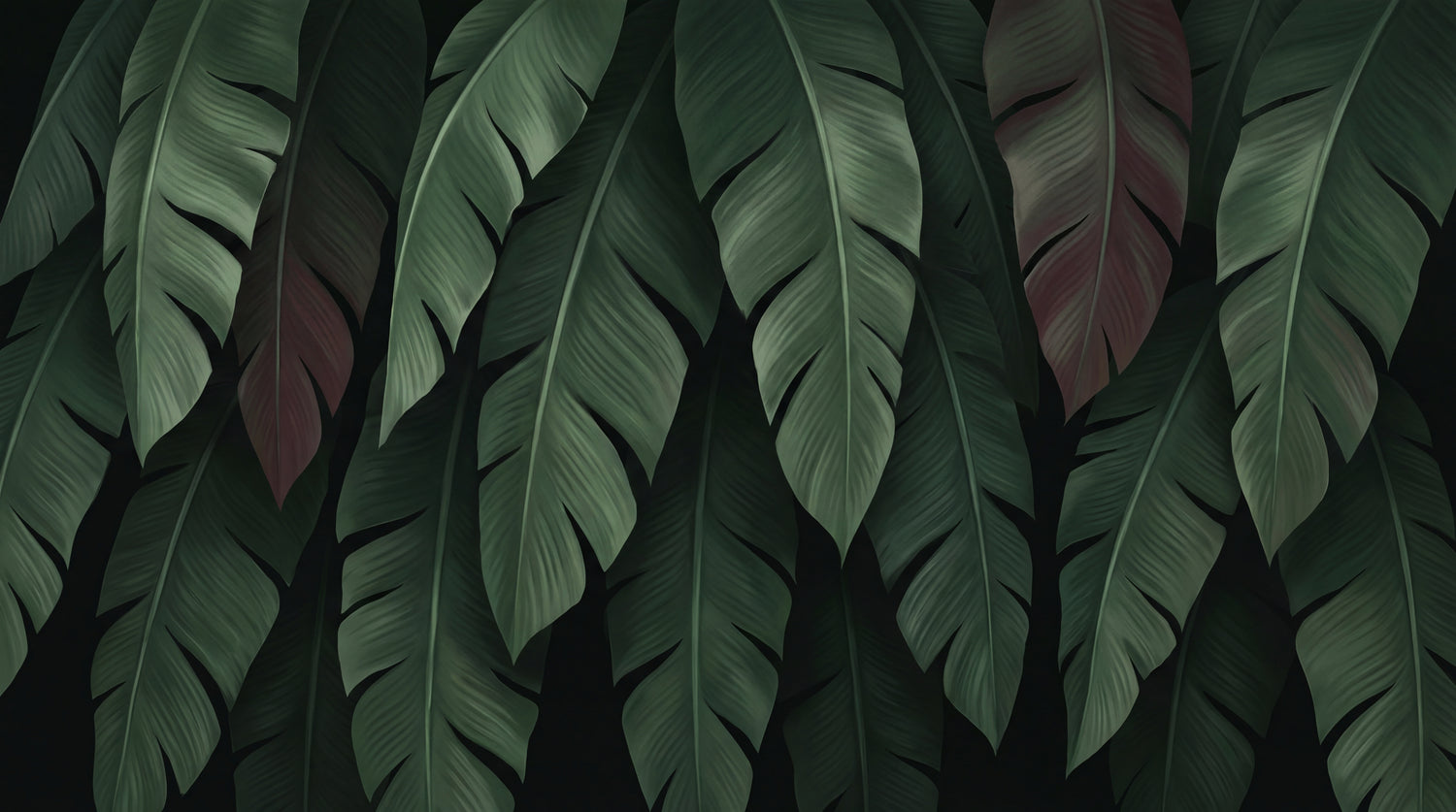Velvet Monsoon Green Jungle Wallpaper - Dark Green Tropical Botanical Leaf Peel and Stick Mural - Design