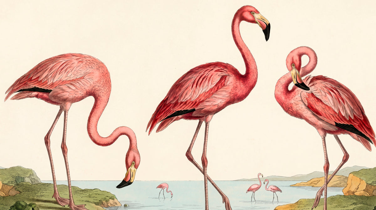 Wading Tides Pink Wallpaper - Light Pink Animal Wallpaper Peel and Stick Botanical Rose Aesthetic Wall Mural - Design
