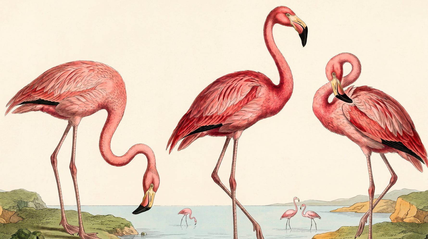 Wading Tides Pink Wallpaper - Light Pink Animal Wallpaper Peel and Stick Botanical Rose Aesthetic Wall Mural - Design
