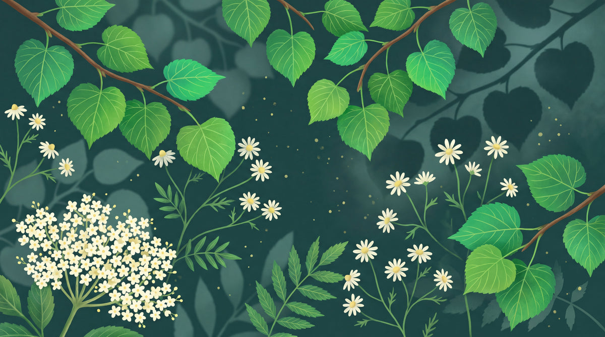 Whispering Glade Green Floral Wallpaper - Dark Green Greenery Daisy Flower Peel and Stick Wall Mural - Design