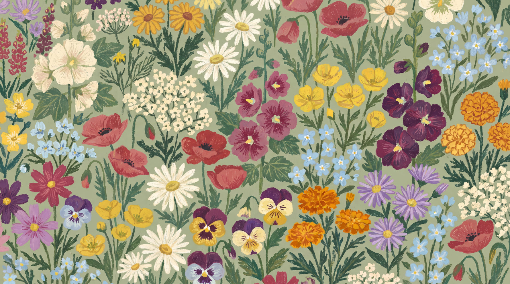 Wildflower Hymn Green Floral Wallpaper - Sage Green Vintage Daisy Flower Peel and Stick - Design